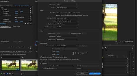 Sequence Settings