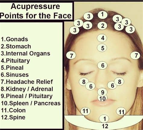 Pressure Points On Face Chart