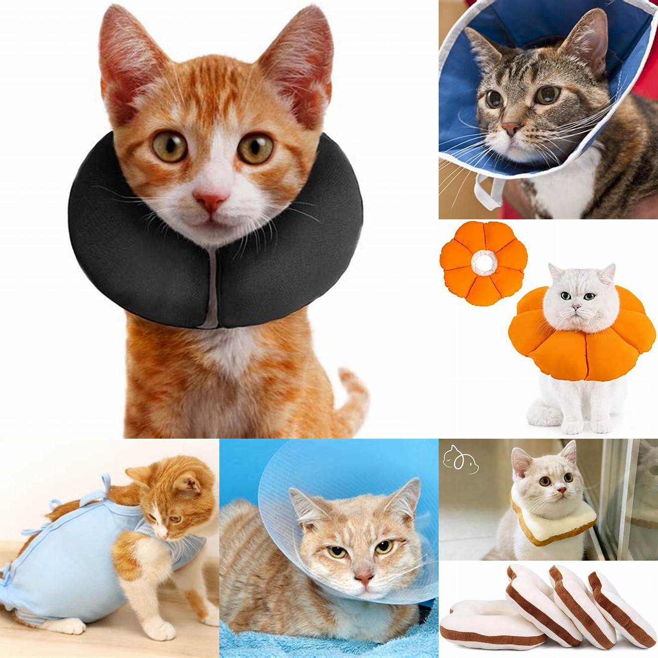Prevent Licking - Use an Elizabethan collar or an alternative to prevent your cat from licking the wound
