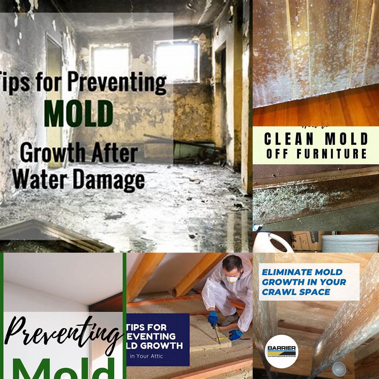 Preventing future mold growth