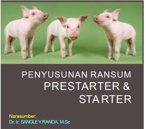 Prinsip 4P Ransum Babi Bunting Indonesia