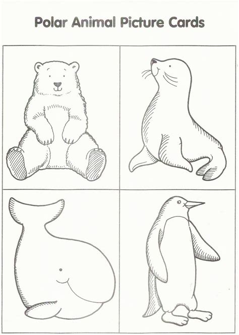 Printable Arctic Animals