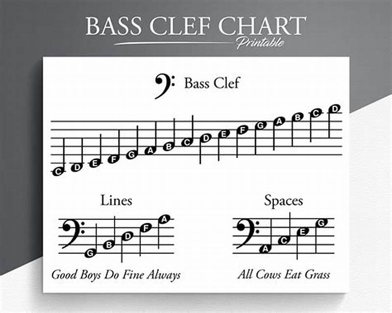 Printable Bass Clef Notes