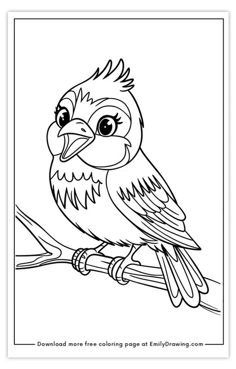 Printable Bird Coloring Pages