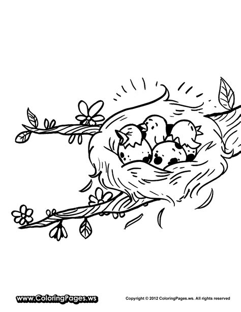 Printable Birds Nest