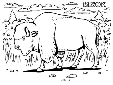 Printable Bison Coloring Page
