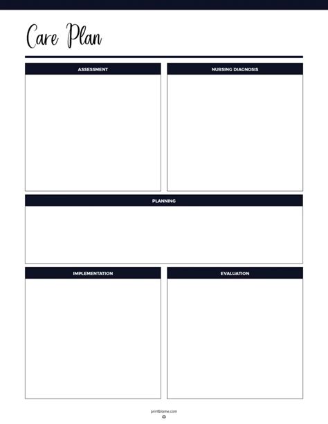 Printable Care Plan Template