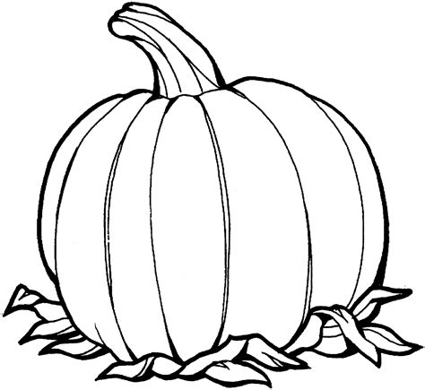 Printable Coloring Pages Pumpkin