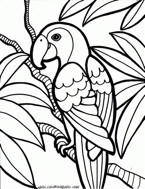 Printable Colouring Sheets