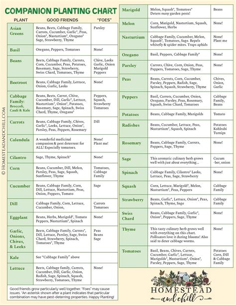 Printable Companion Gardening Chart