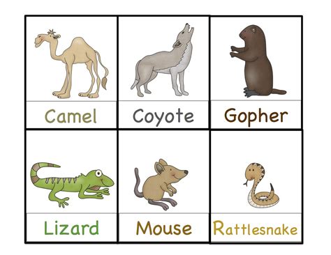 Printable Desert Animals