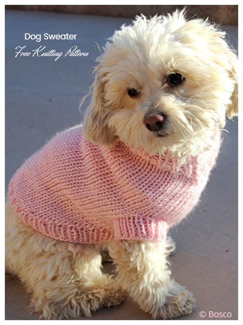 Printable Easy Knit Dog Sweater Patterns Free