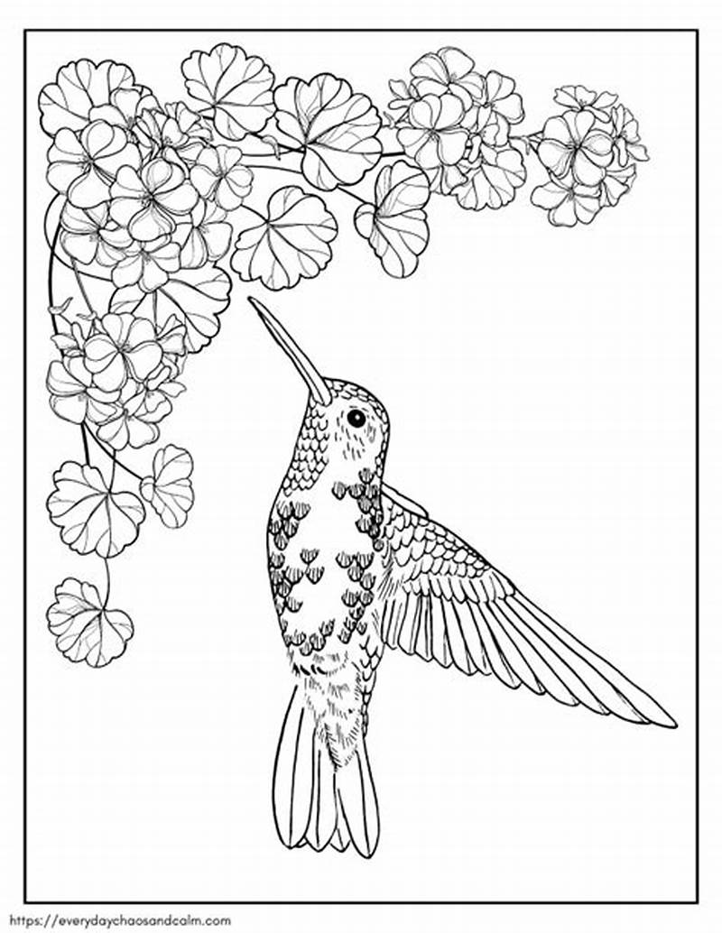 Printable Hummingbird Pattern