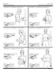 Printable Isometric Shoulder Exercises