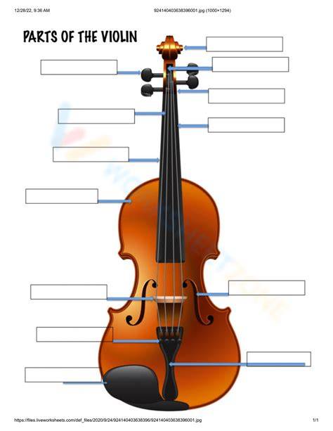 Printable Parts Of The Violin Worksheet
