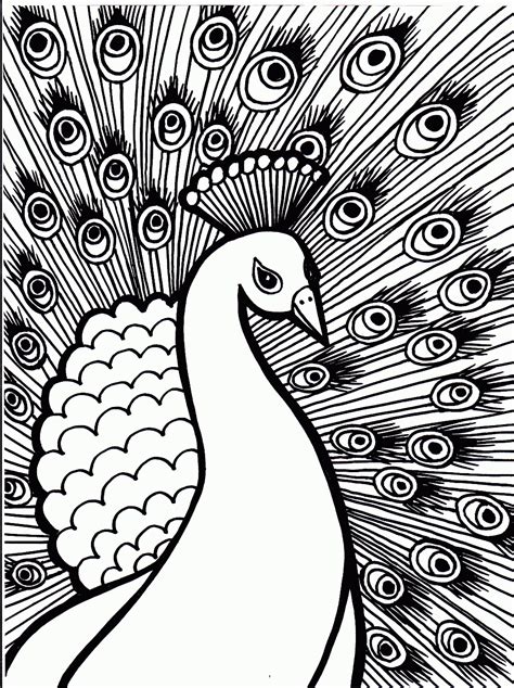 Printable Peacock Coloring Pages