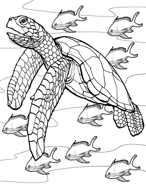Printable Sea Turtle