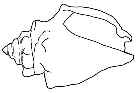 Printable Shells
