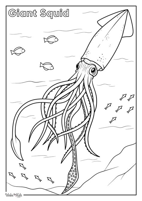 Printable Squid