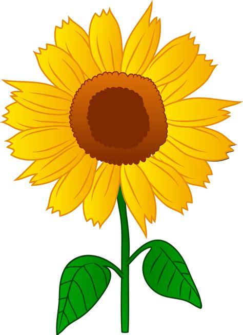 Printable Sunflower Clipart