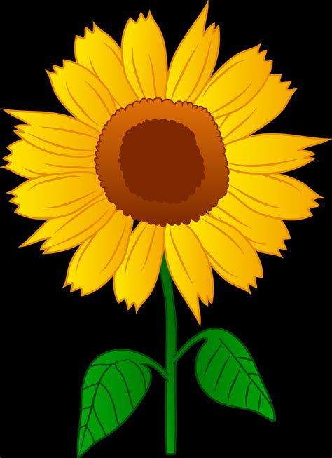 Printable Sunflower Clipart Free
