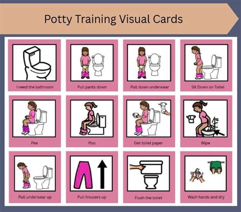 Printable Toilet Pecs Card