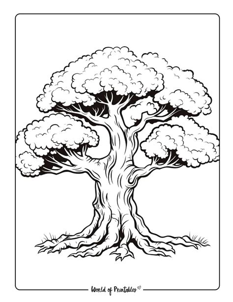 Printable Tree Coloring Page