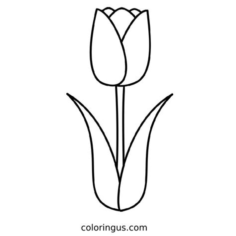 Printable Tulip Coloring Pages