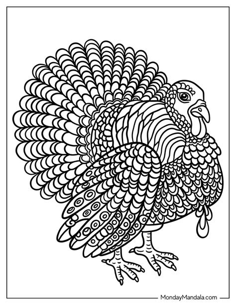 Printable Turkey Color