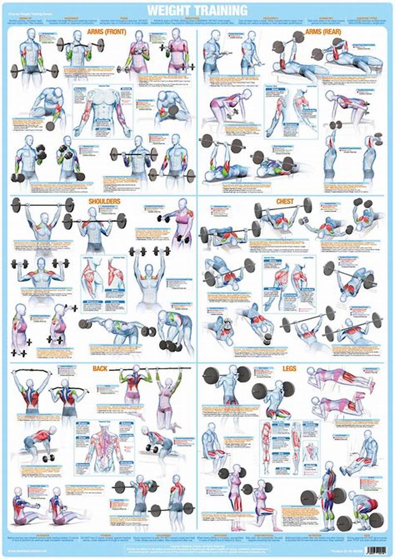 Printable Weight Lifting Program