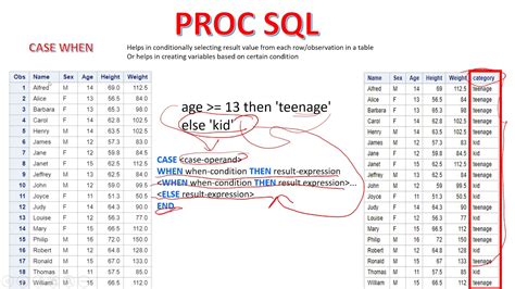 Proc SQL Case When