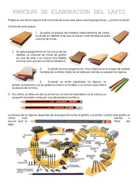 Proceso De Elaboración