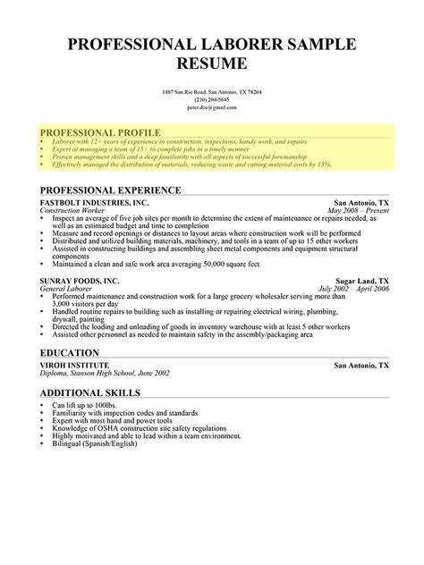 Professional Profile Template