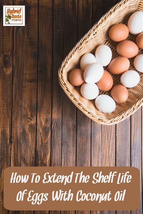 Proper Storage Methods to Extend the Shelf Life of Organic Coconut Oil