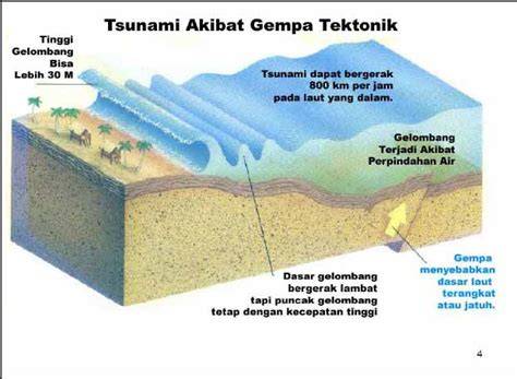 Proses Terbentuknya Tsunami