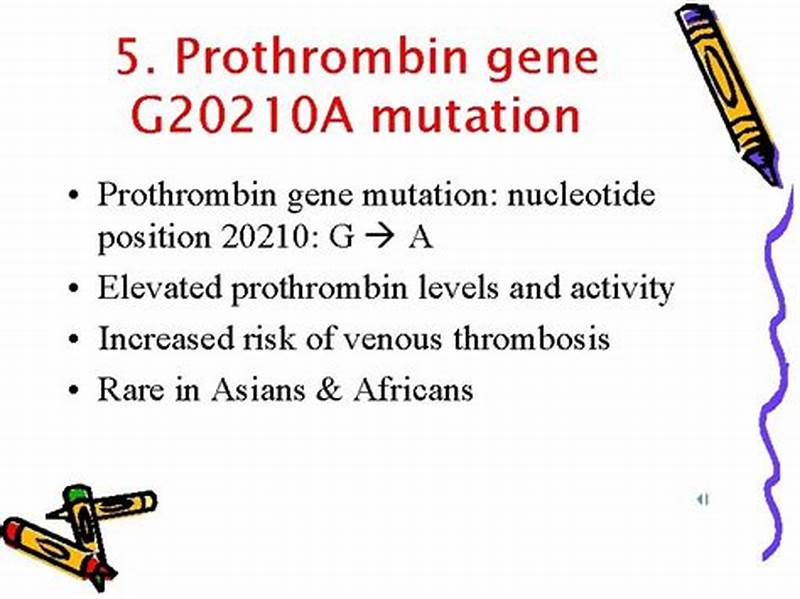 Prothrombin Gene Mutation Inheritance Pattern