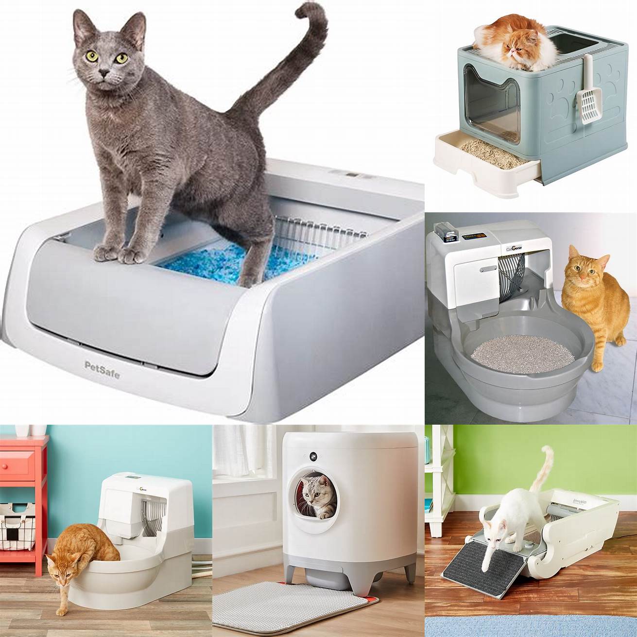 Provide a comfortable and clean litter box