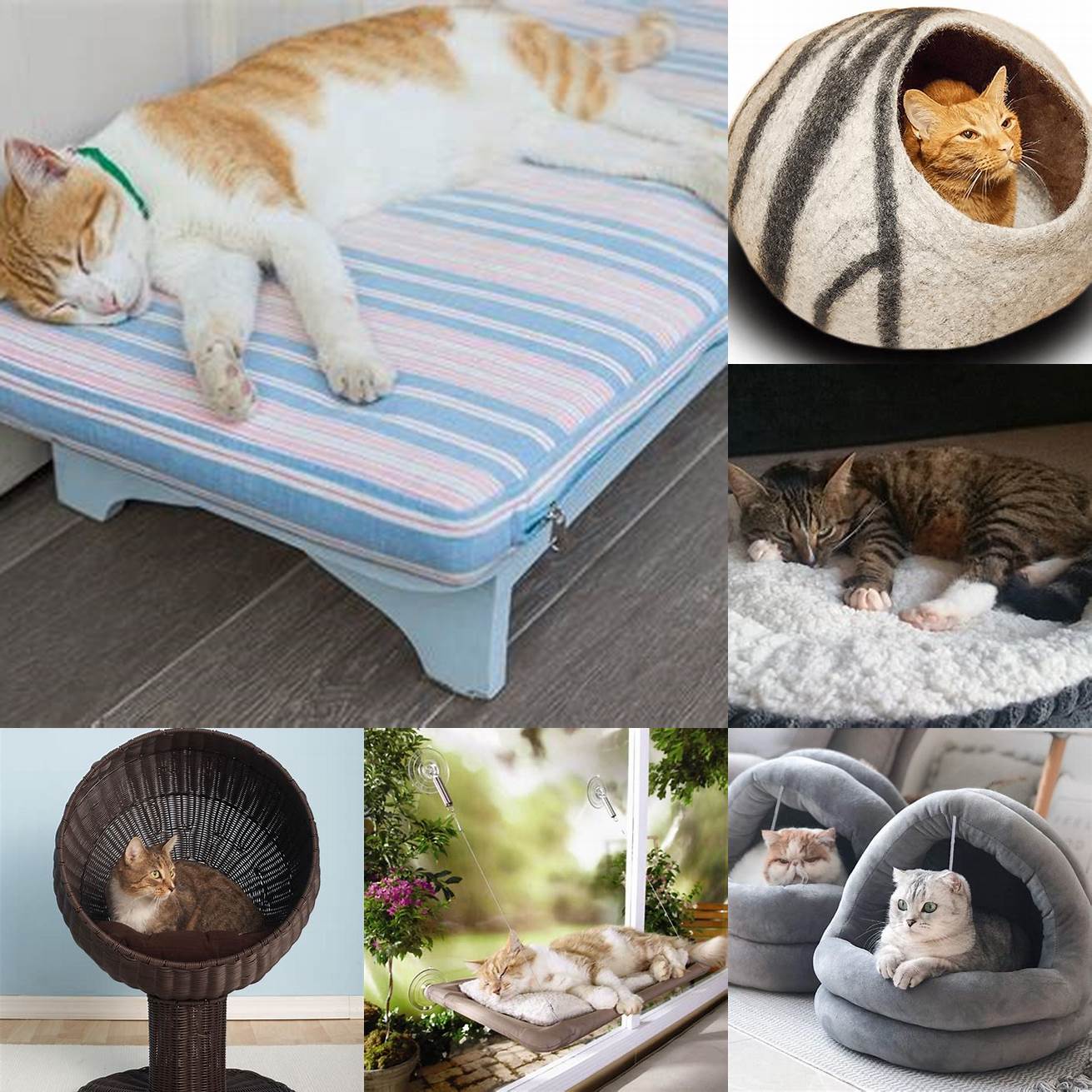 Provide a comfortable bed or resting place for your cat