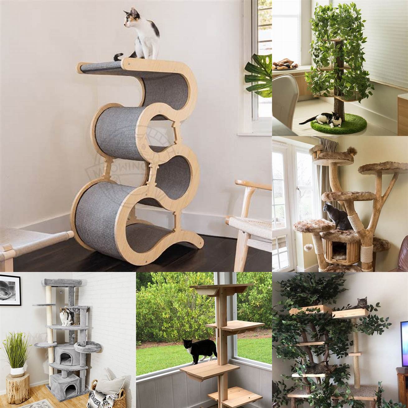 Provide plenty of hiding spots and escape routes for your cats such as cat trees or boxes This can help reduce stress and provide a safe space for your cats
