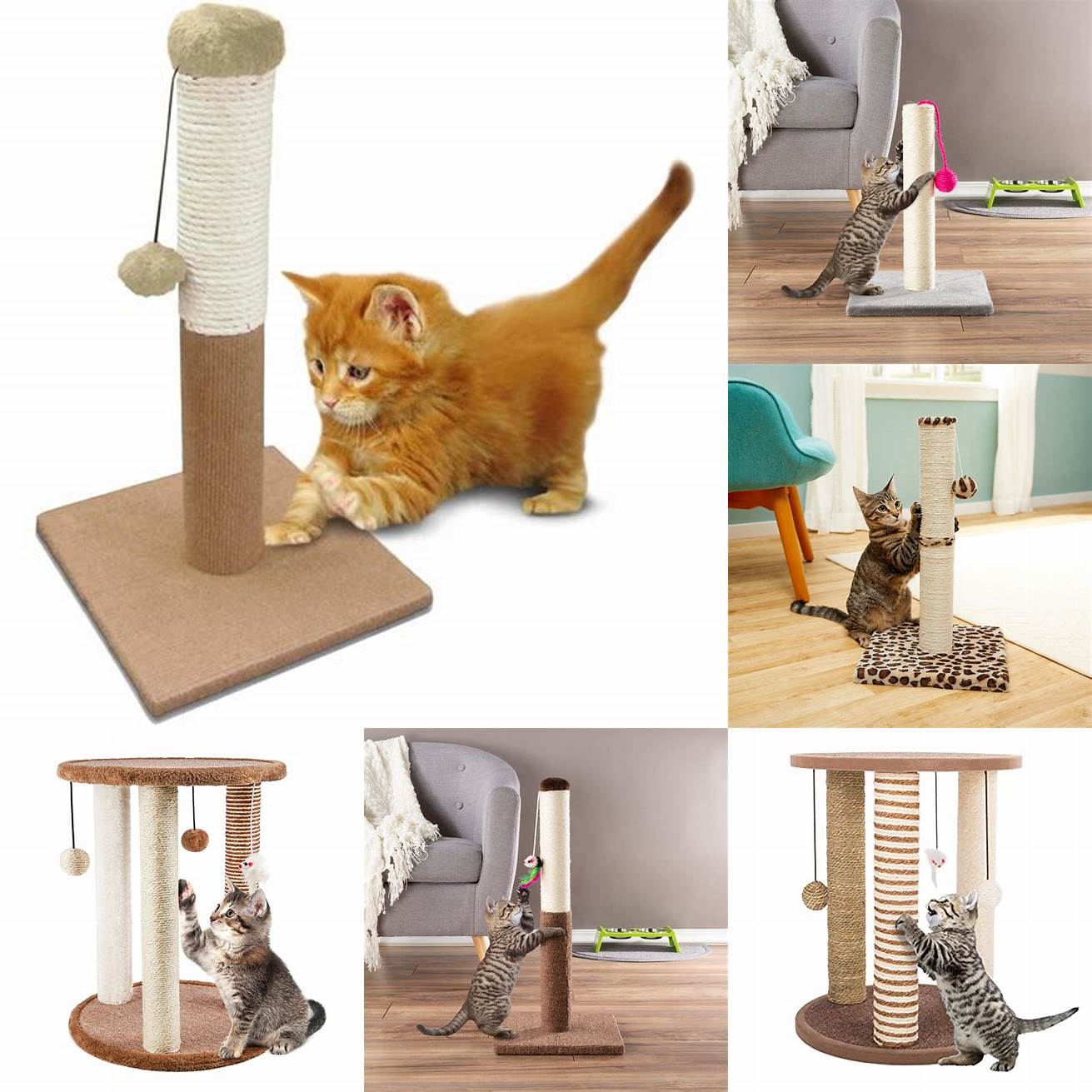 Provide plenty of toys and scratching posts to keep your cat entertained
