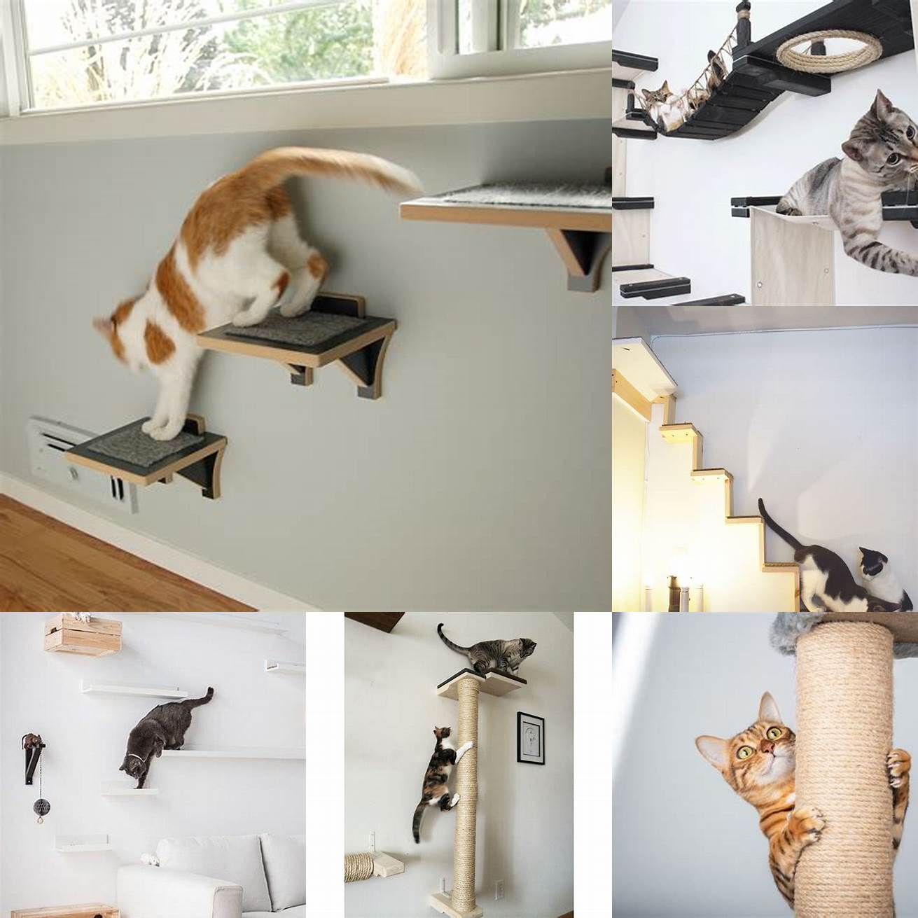Provide safe climbing options - Cats love to climb so provide them with safe climbing options