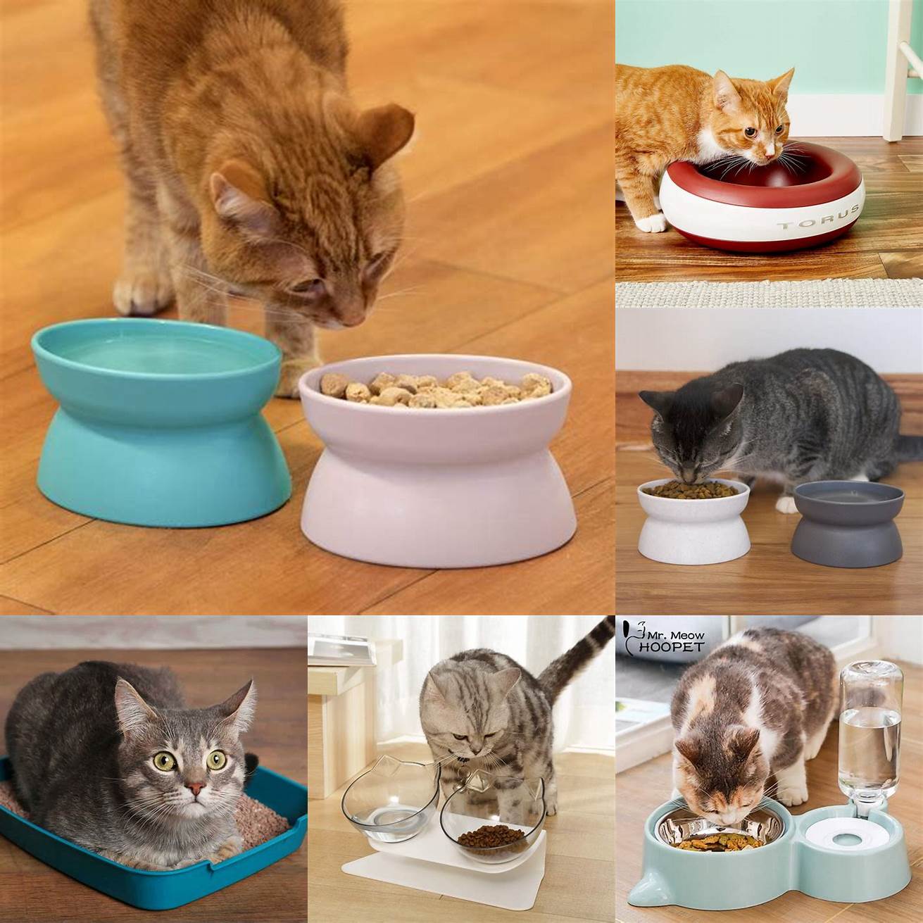 Provide separate resources for each cat such as food and water bowls litter boxes and sleeping areas This can help reduce competition and territorial disputes