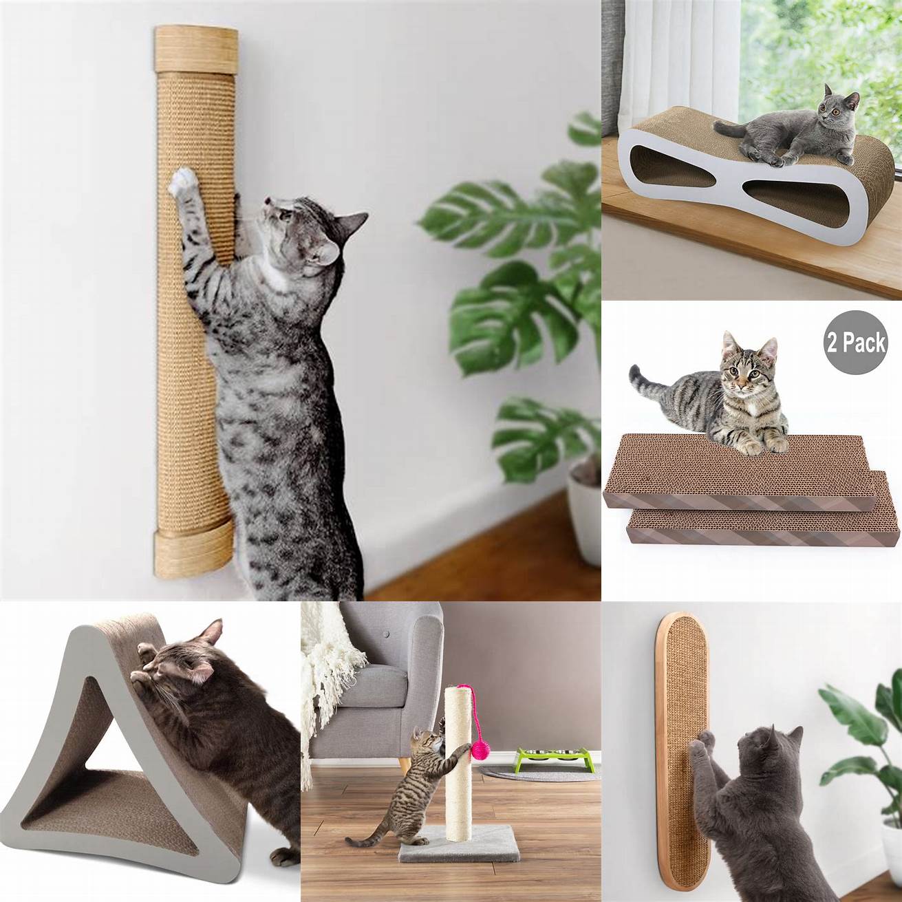 Provide your cat with scratching posts and pads