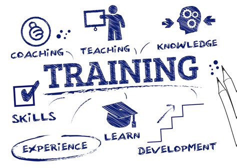 Provide Training and Resources