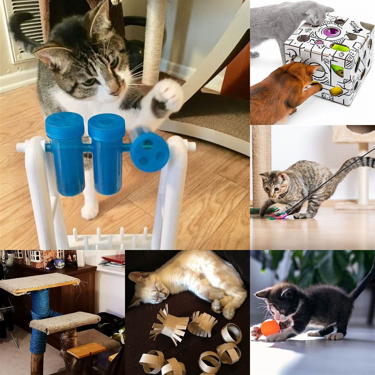 Provides a fun and playful activity for cats