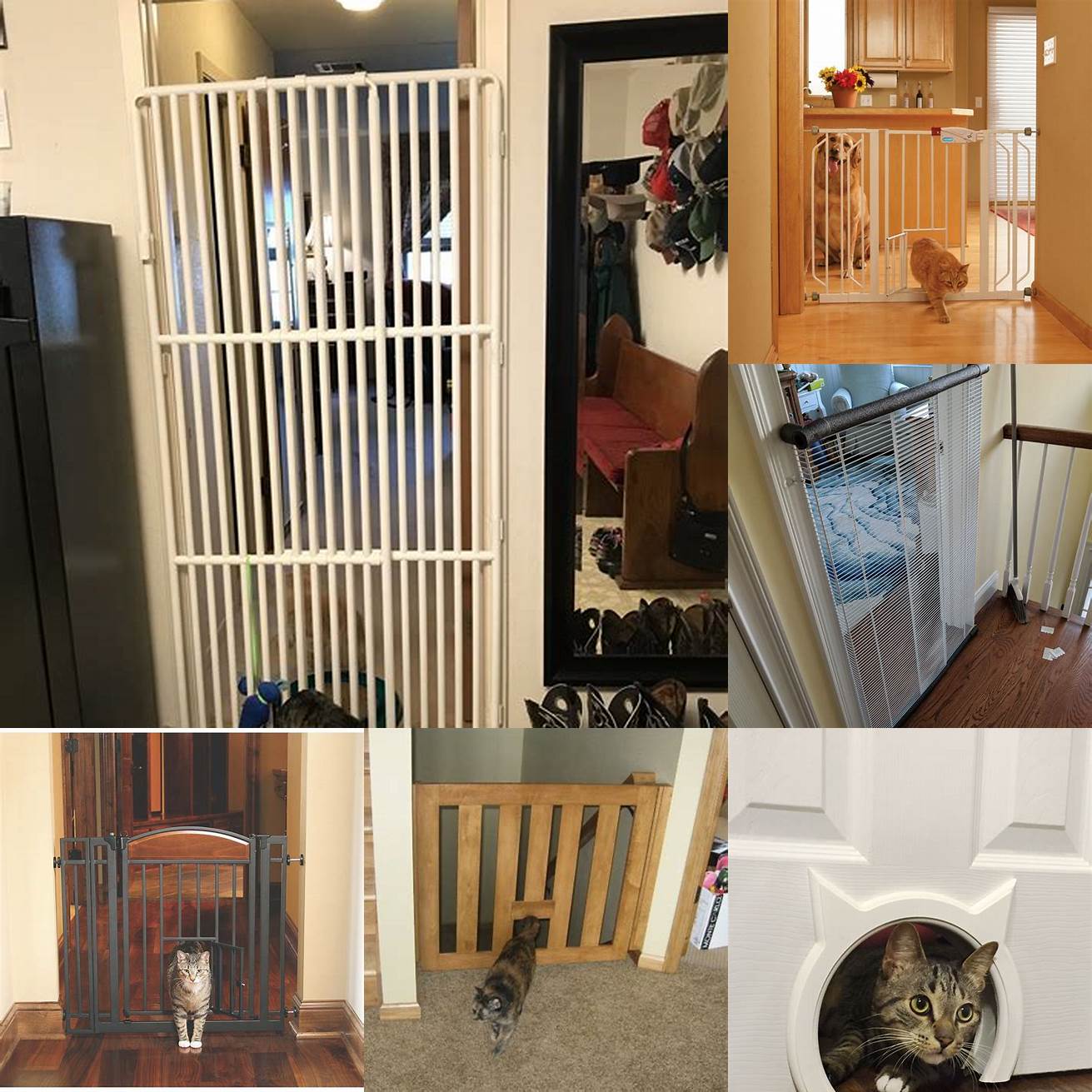 Provides a safe space Cat gates can also be used to create a safe space for your cat to play and relax This can be especially important if you have other pets or children in the home