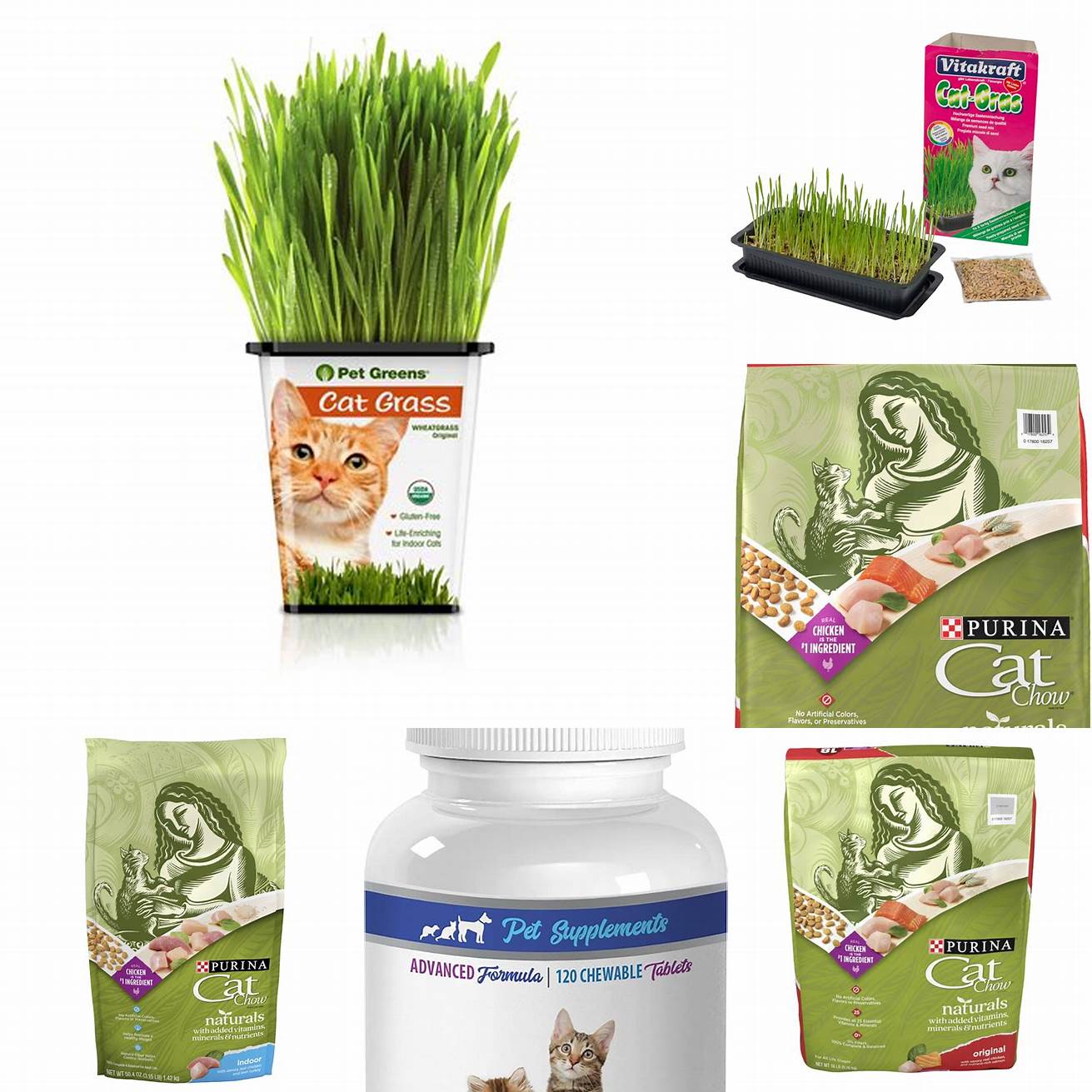 Providing essential nutrients Cat grass is rich in vitamins and minerals that are beneficial for your cats health