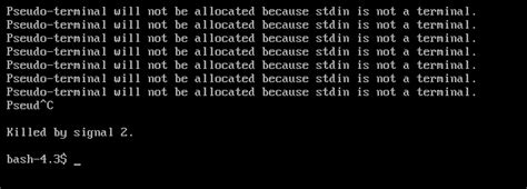 Pseudo-terminal will not be allocated because stdin is not a terminal