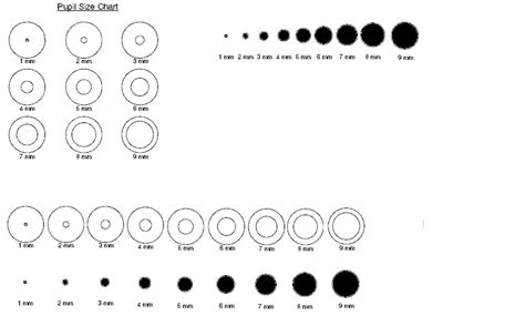 Pupil Size Chart Normal
