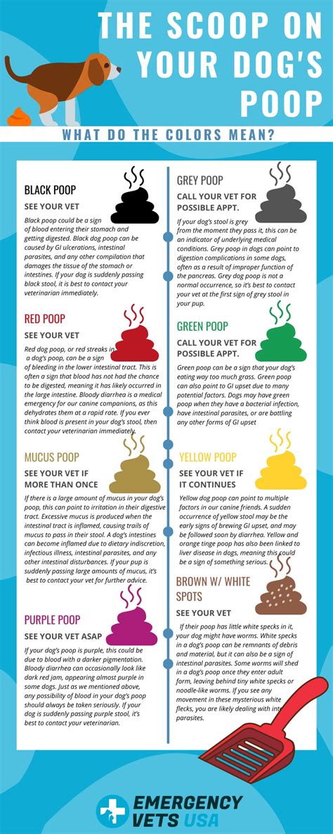 Puppy Poop Color Chart